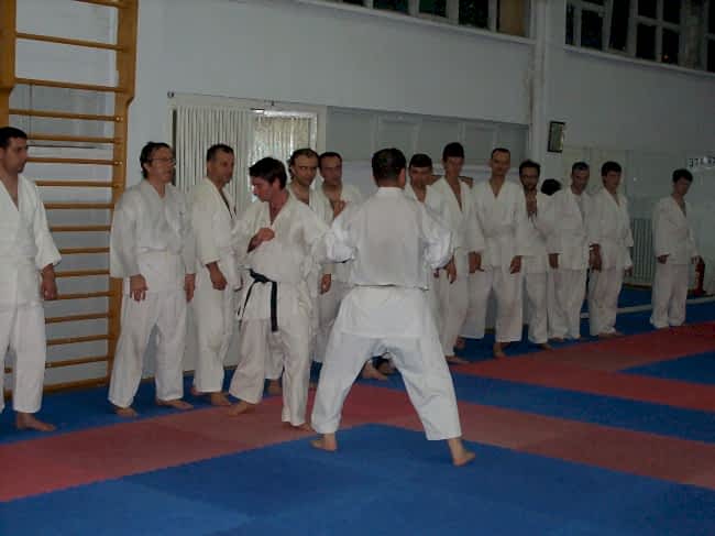 Karate semineri
