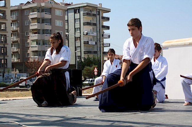 Japon Disiplin sanatları Gösterisi