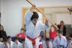 II.Uluyama İaido & Jodo Kata Yarışma ve Gösterisi