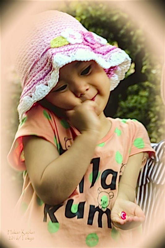 Japonyayı gezdik.. 2016 