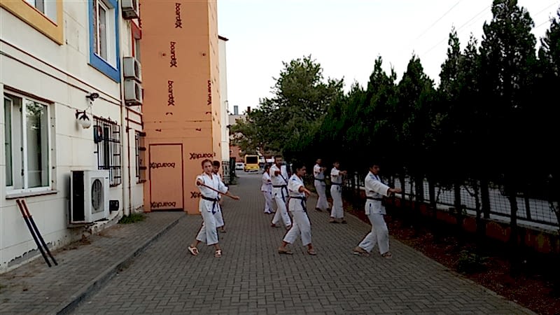 Dojodan Görüntüler (2018)