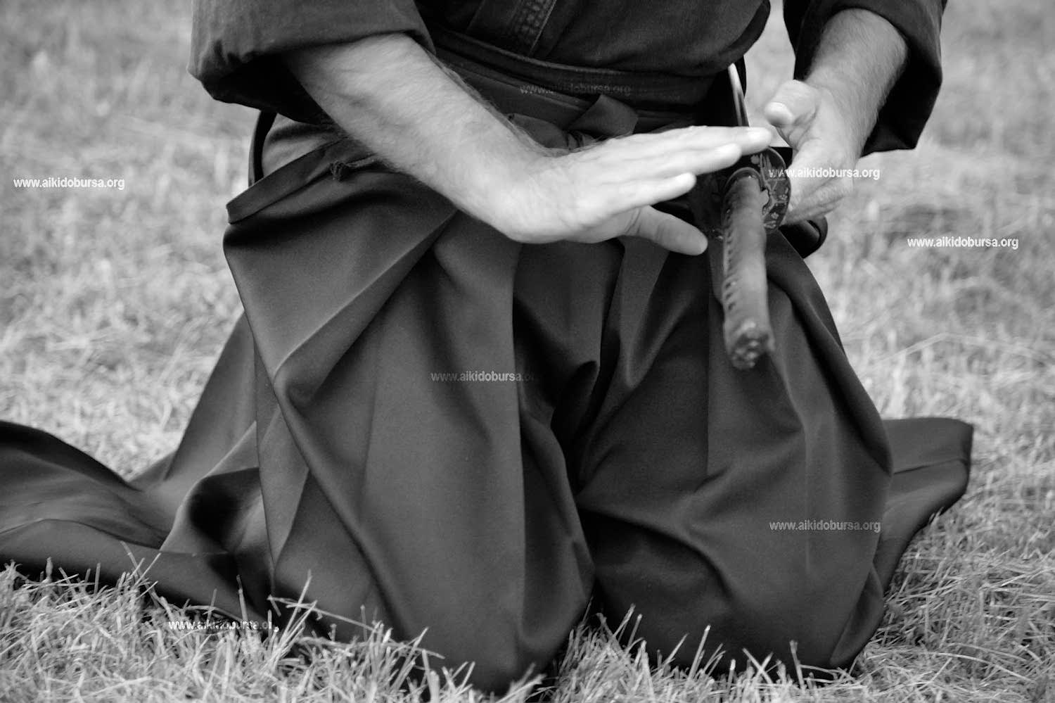 Gi- Dürüstlük- Adalet